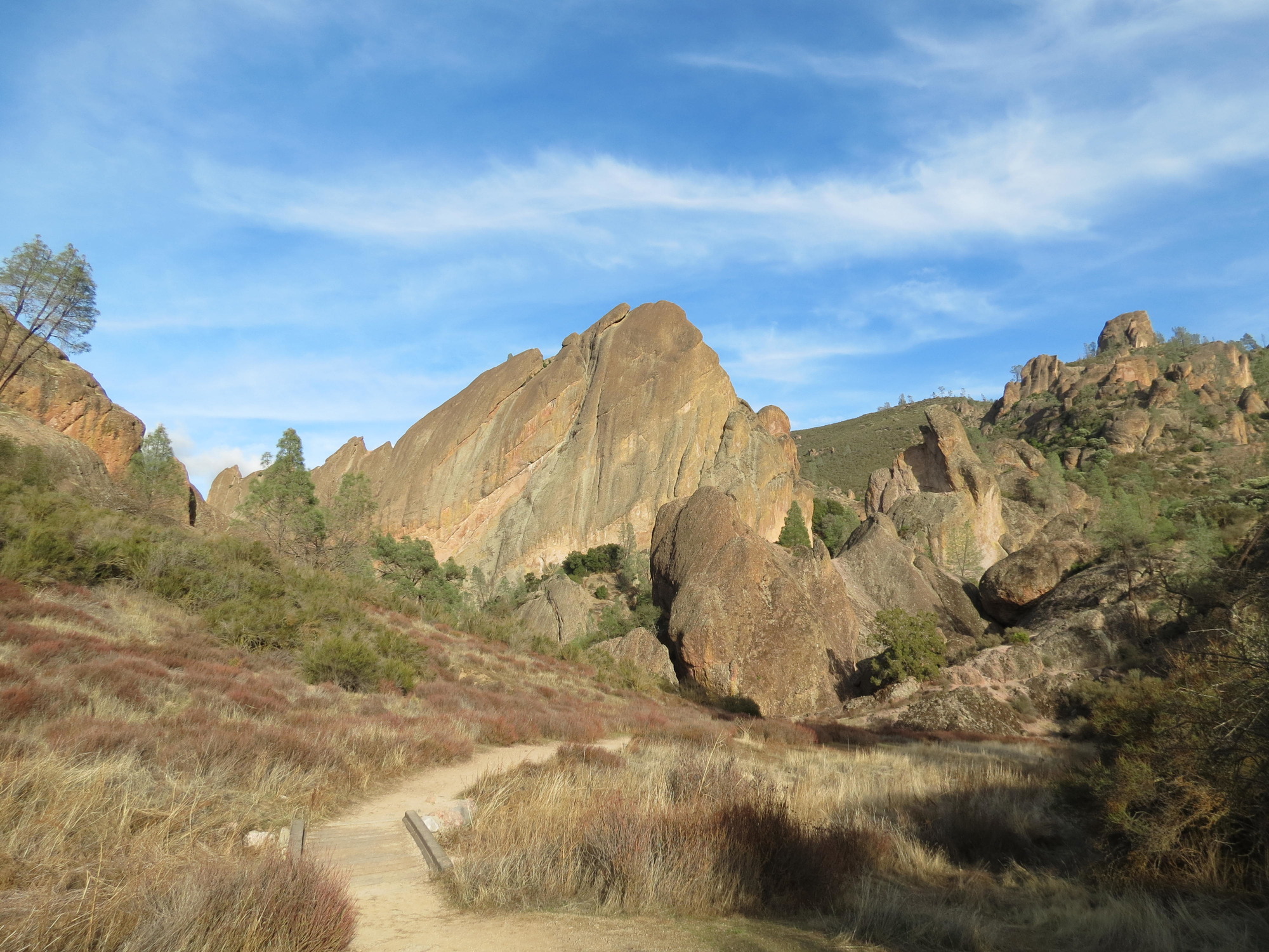 A sandy trail winds through dried grasses and brush and disappears into the rocks and cliffs on the horizon.