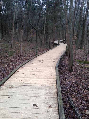 Mammoth Cave Sloans Pond Boardwalk