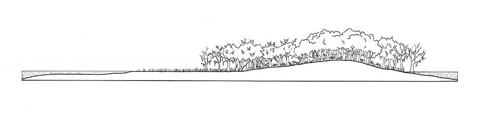 Cross-section of a barrier island