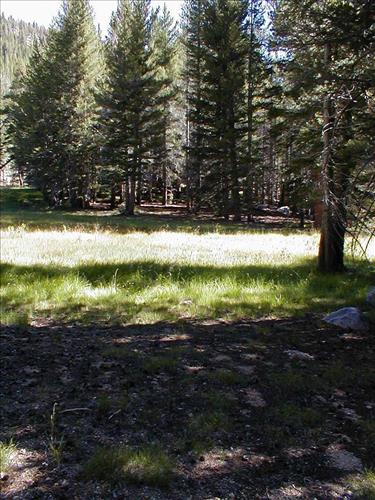 Proposed demonstration stock camp at Lower Rock Creek Xing, Sequoia and Kings Canyon National Park