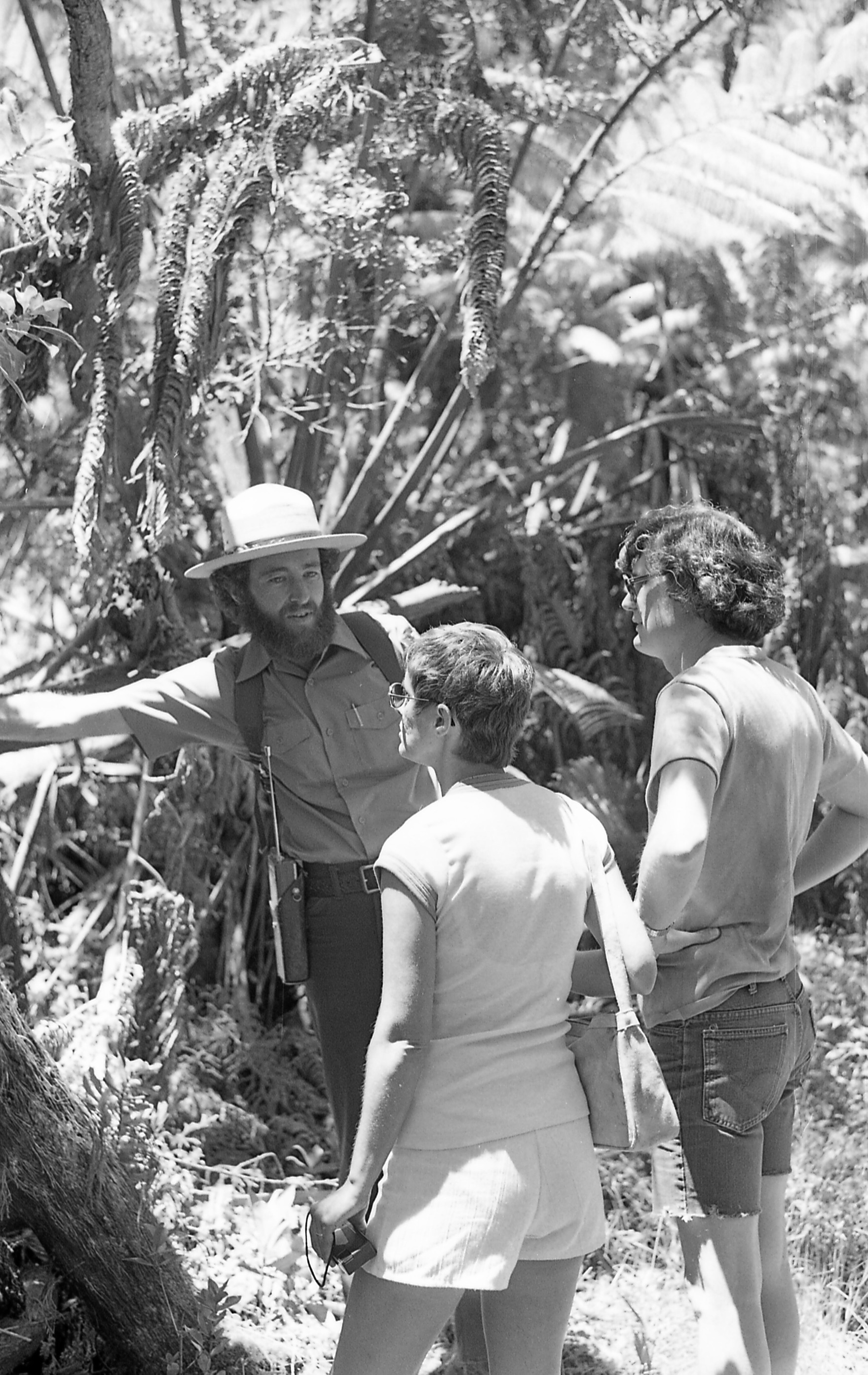 A black and white image of a male park ranger taking two visitors on an interpretive hike. In the center of the image a park ranger is standing facing two visitors. He is wearing the National Park Service uniform including a ranger hat, a short sleeve collared button-down shirt, a belt with a radio holder, and pants. He has his right arm outstretched towards the left side of the image. A man and woman are standing in front of the park ranger looking towards the left side of the image where the ranger is pointing or holding something. The man is located on the left side of the image and has his hands on his hips. He is wearing eyeglasses, a t-shirt, and cut-off jean shorts. The woman is standing to the left of the man. She is wearing sunglasses, a short sleeve shirt, a purse hanging from her right shoulder, and shorts. She is holding a camera in her left hand. In the background, behind the park ranger is a large fern tree or hapuʻu.