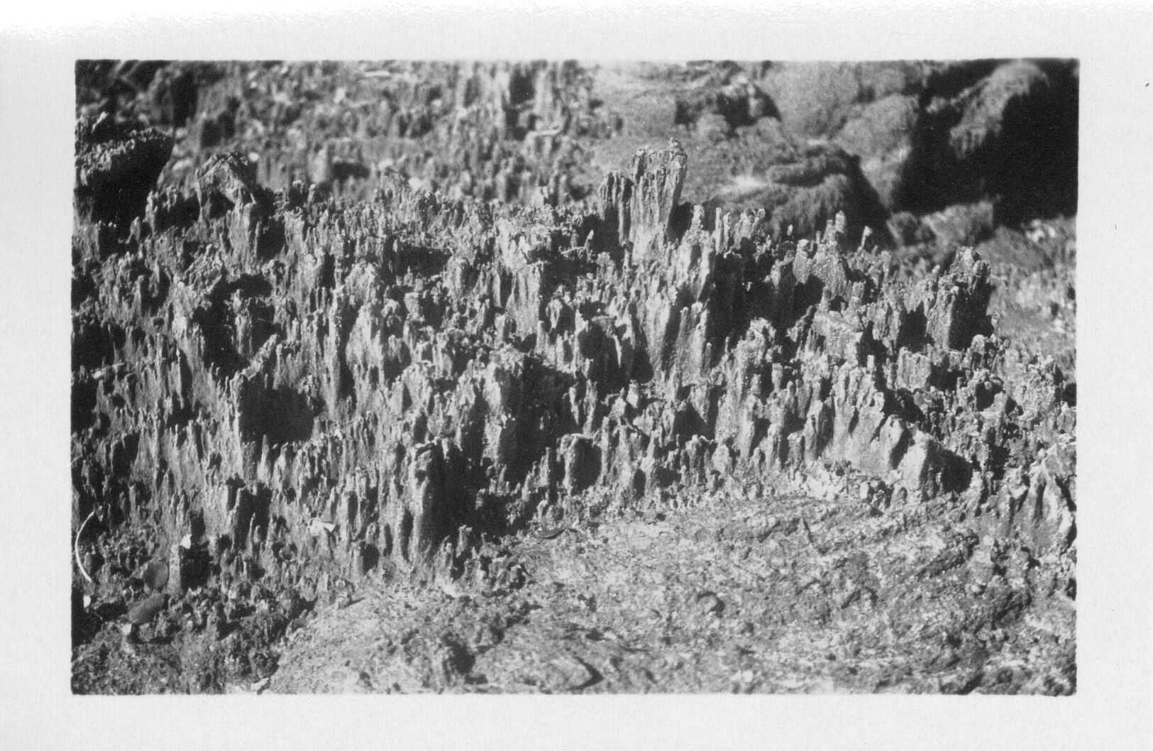 A black and white close-up images of short sand pinnacles in the Kaʻu desert. The pinnacles are located in the center of the image spreading from the left to the right side of the image. The pinnacles are short jagged sharp-edged columns bunched together. The sand around the pinnacles is smooth.