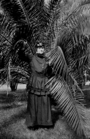 Black and white photograph of an unidentified woman in a black dress posing for the camera. The woman is at the center of the photograph with her right hand holding a frond, looking out towards the right side of the image. Behind her and all around her are large fronds growing from a single plant. The fronds take up almost the entirely of the background.
