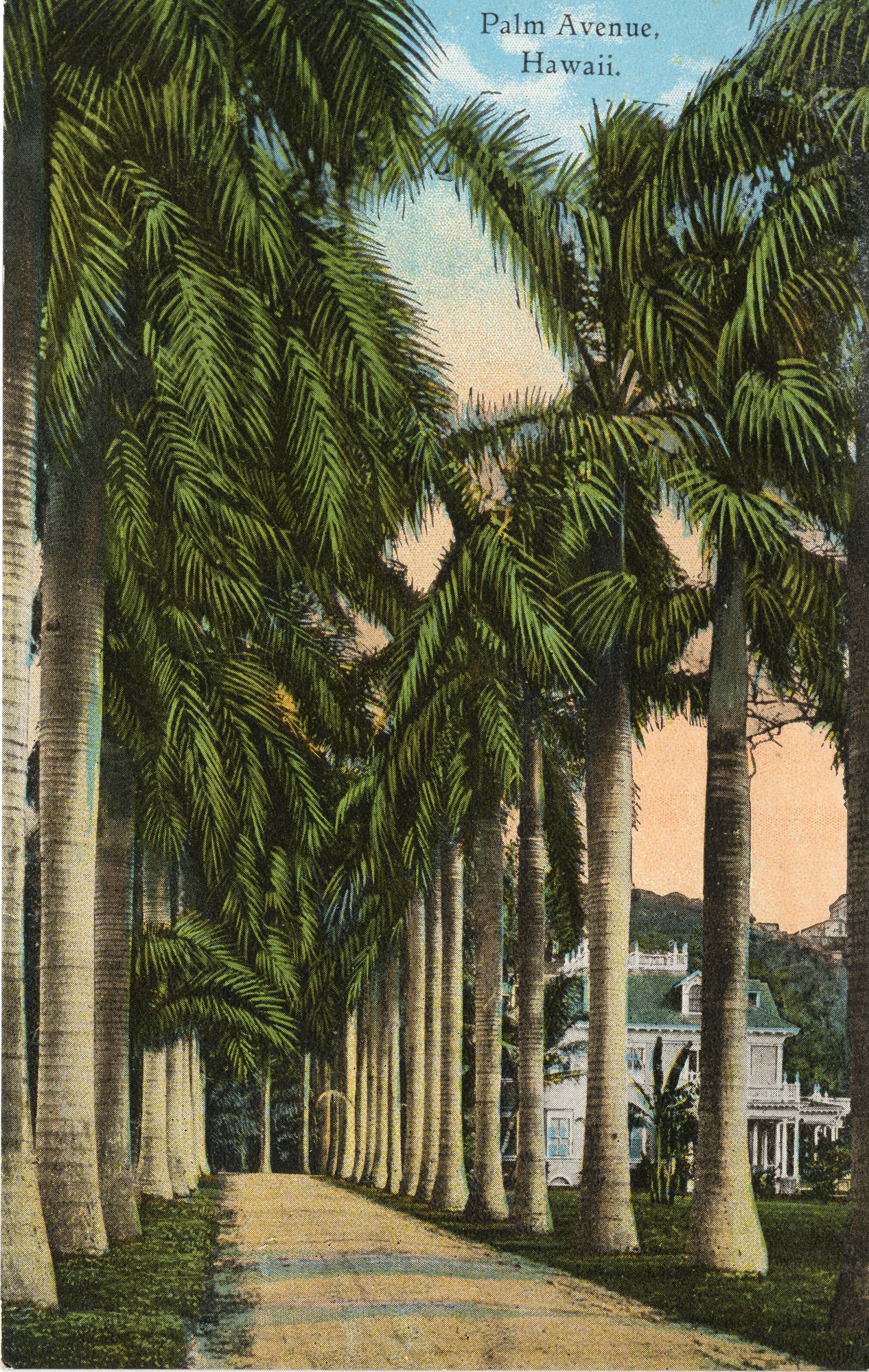 A colored postcard of Palm Avenue and the Queen's Hospital Grounds in Honolulu, Hawaiʻi. The tan road runs down the center of the image. It is lined with green leaf palm trees on both sides. There is also green grass on both sides of the road. In the background on the right side of the image there is a white two-story house with a green roof. The sky above the house is shaded pink to light blue representing a sunset or sunrise. At the top edge of the image there is a caption, “Palm Avenue, Hawaiʻi.”