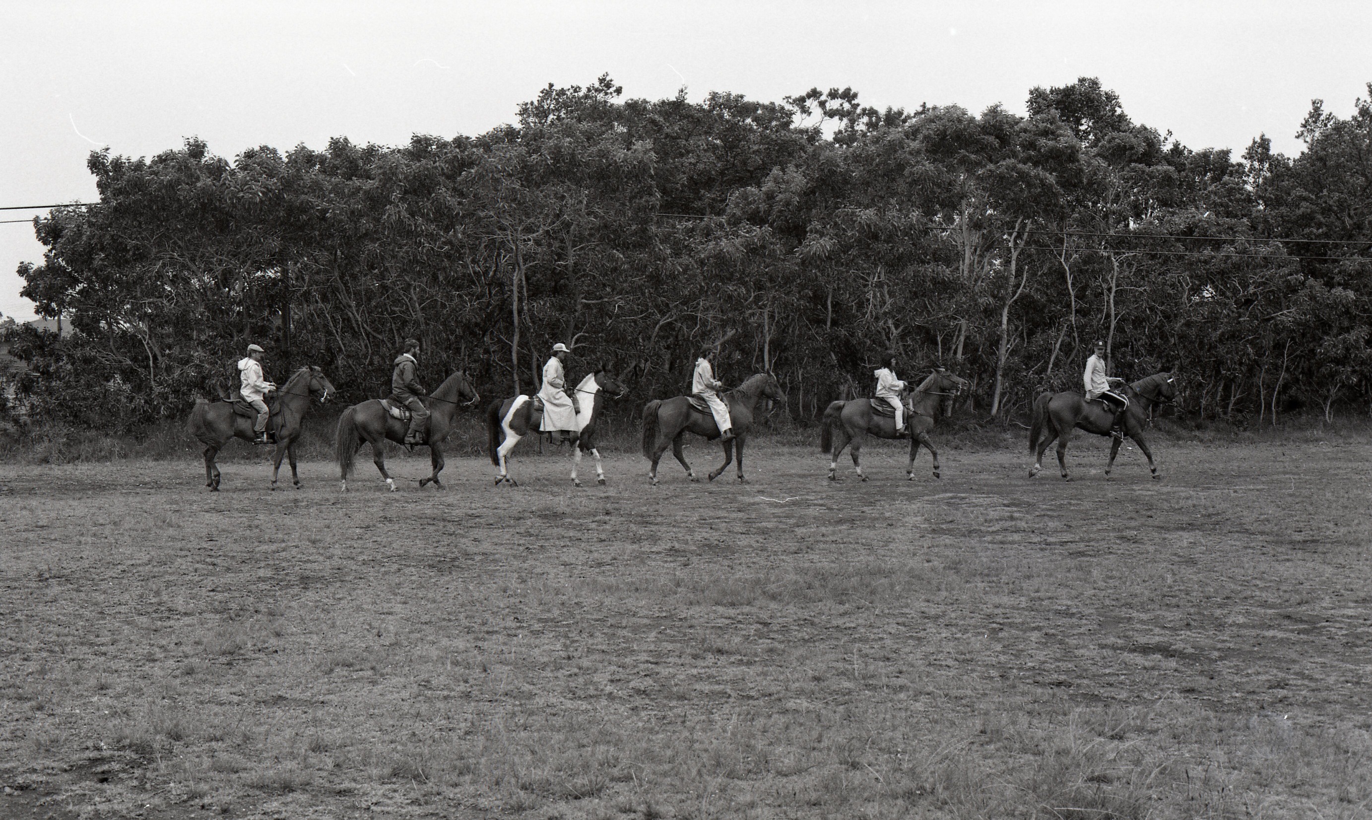 A black and white image of six people on horseback in a line, one behind the other, riding across a field at Kilauea Military Camp.