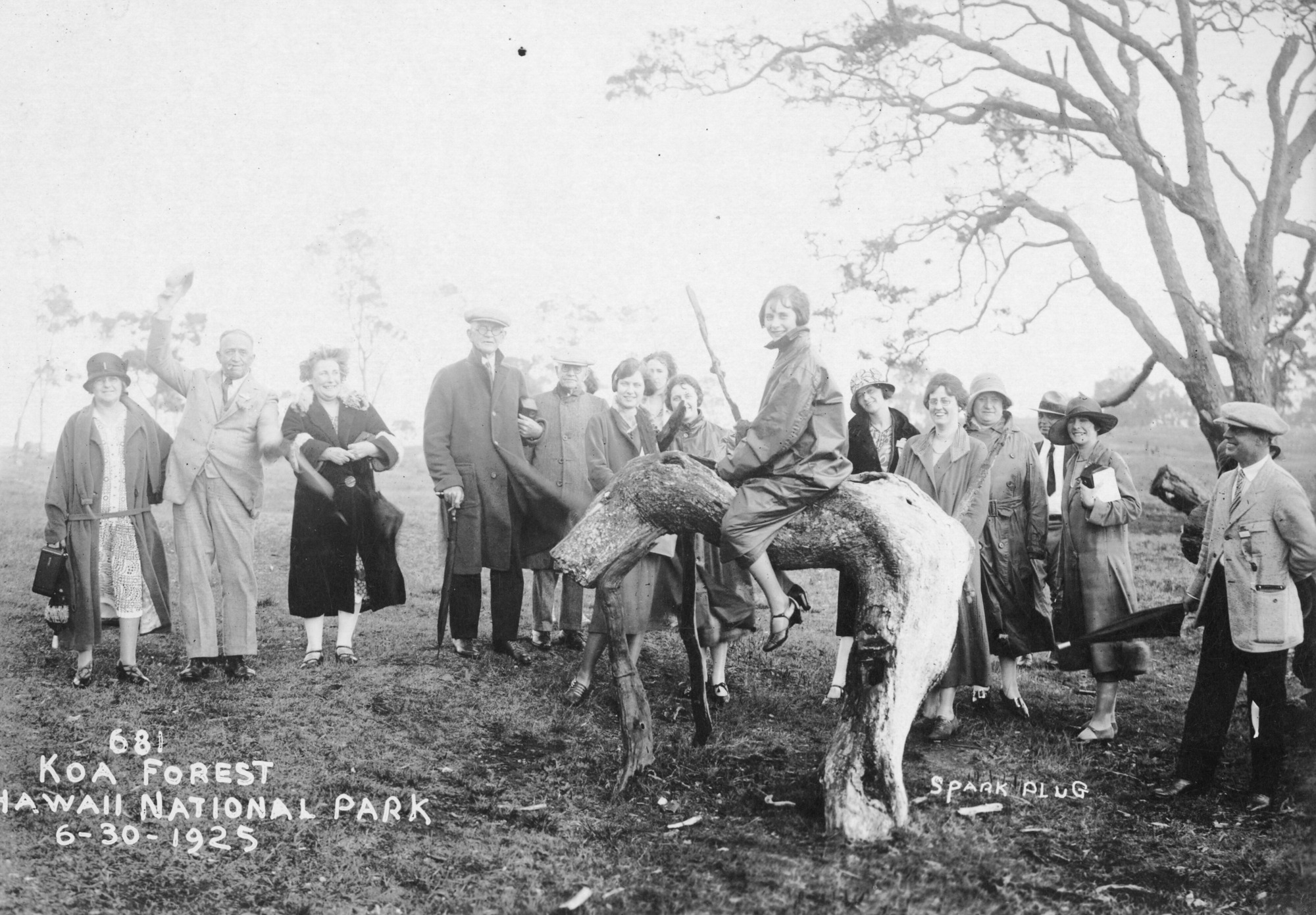 The image is in black and white. In the foreground of the photo, a young girl sits on the bent trunk of a koa tree that had been cut down and made to resemble a horse. The girl looks at the camera and smiles, her left hand resting on the trunk while her right holds a large stick like a spear. She is wearing a large coat and heeled shoes. The group of people behind her looks on and smiles. The background contains more trees, which are only faintly visible through mist. The bottom left corner of the image has a caption that reads, "681, Koa Forest, Hawaii National Park, 6-30-1925." Another caption, near the right corner of the image reads, "Spark plug."