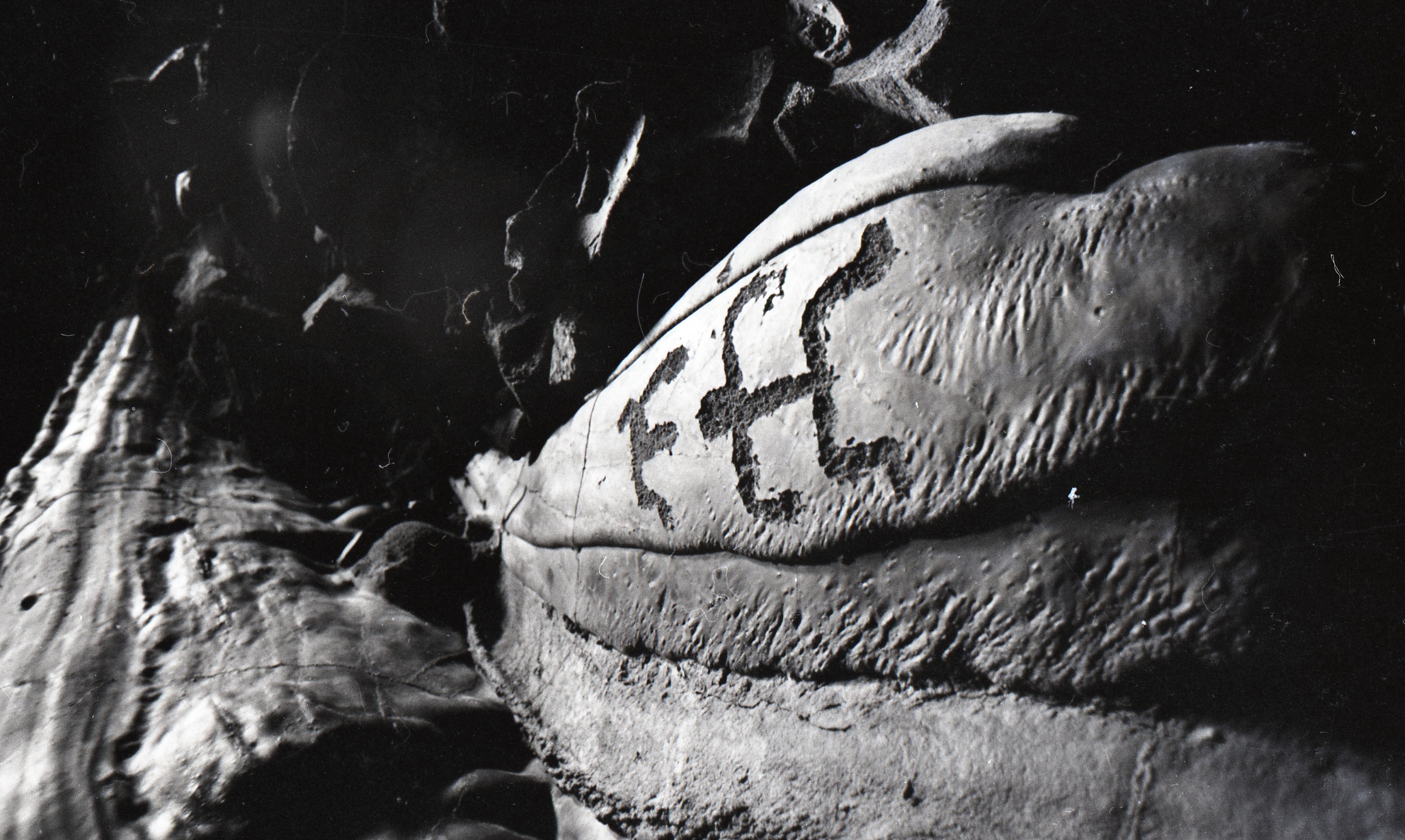 A black and white image of a large rock with two carved petroglyphs. One of the petroglyphs look like the "F". The other is human figured turned horizontally.