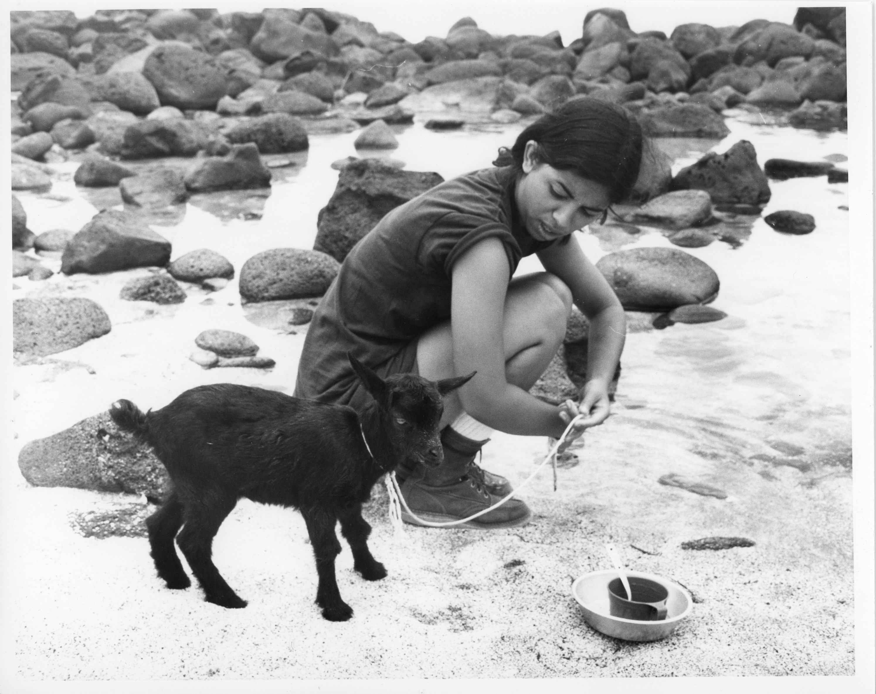 A black and white image of a young girl squatting down next to a dark colored baby goat. The girl is located in the center of the image. She is wearing a t-shirt, shorts, and sneakers squatting down in a sandy area. She is holding onto the end of a leash looking down at the goat.  The baby goat is standing to the left of her facing the right side of the image. It has a collar around its neck with the leash attached. In front of the goat are two bowls and a eating untencil stacked on the ground. In the background there is a pile of lava rocks.