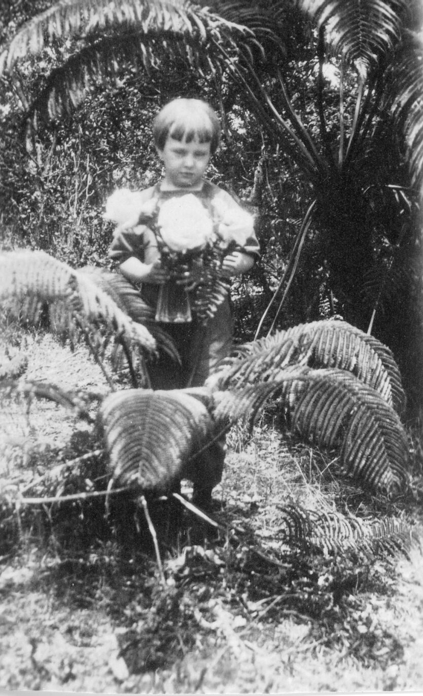A black and white image of a child standing in the middle of a hapuʻu tree fern. The child is in the center of the image wearing a collared long sleeve shirt and pants. Their eyes are looking down towards the ground and not at the photographer. There are three dolls in their hands hugging them against their chest. Hapuʻu branches surround the child around their knees. There is other vegetation and a taller hapuʻu in the background.