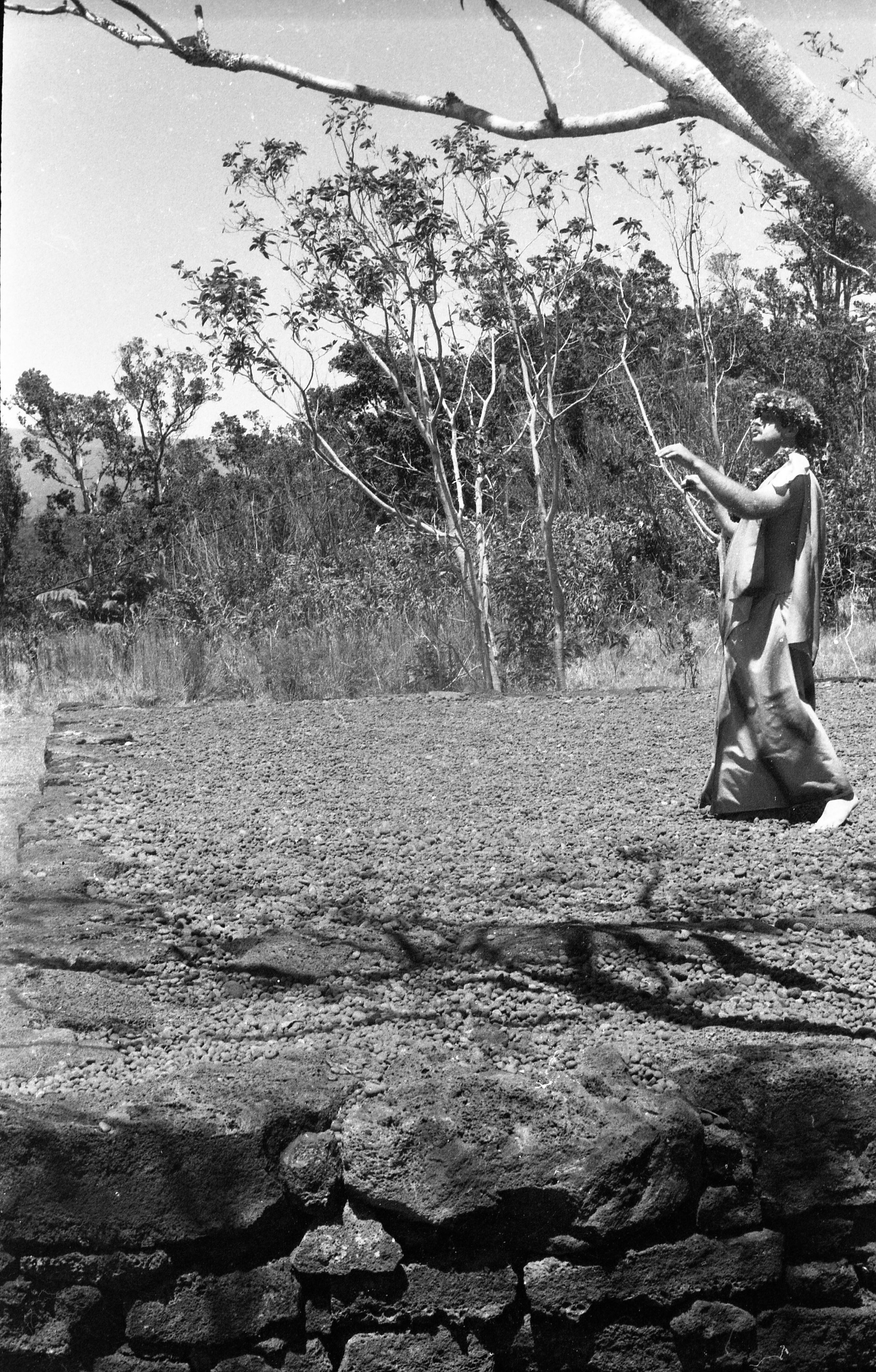A black and white image of a man performing a hula on a raised platform. The man is located on the far-right side of the image and is facing the left side of the image. He is wearing a floral headband, a lei, tank top, pants, and has no shoes on. His arms are raised and bent at the elbow. His fingers are bent in a bowl shape facing the ground.  His left foot is slightly raised. The platform is covered in pebbles and is bordered by a rock retaining wall. In the background there is a wooded area with telephone lines running horizontally across the top of the image.