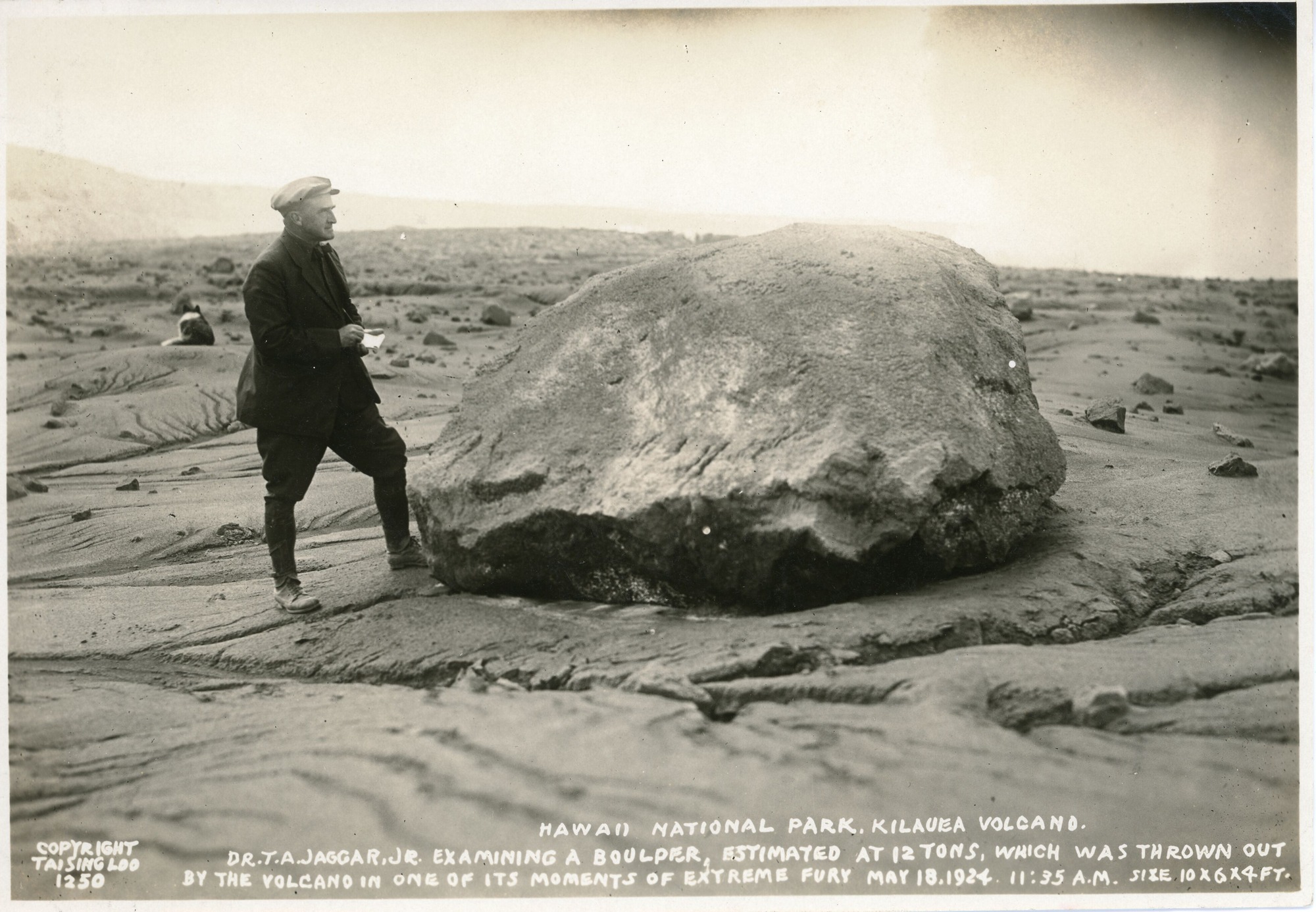 A black and white photo of Dr. T.A. Jaggar, Jr. examining a boulder that was estimated to be twelve tons. The image shows Dr. Jaggar to the left of the image is standing examining a large boulder that was thrown out by the Kilauea Volcano. He is pictured wearing all black suit and a news boy cap. He is also holding a pad of paper and pen in his hand. The boulder is pictured in the middle of the image with smooth edges on the top of the boulder and rougher edges at the bottom of the boulder. The boulder appears to have been launched onto a hardened lava field. In the background of the image there are more lava rocks and hardened lava on the ground. There is a mountain in the distance and to the left of the image. The image also shows Teddy, Dr. Jaggar's dog, sitting to the left with his back faced to the camera looking into the distance.
