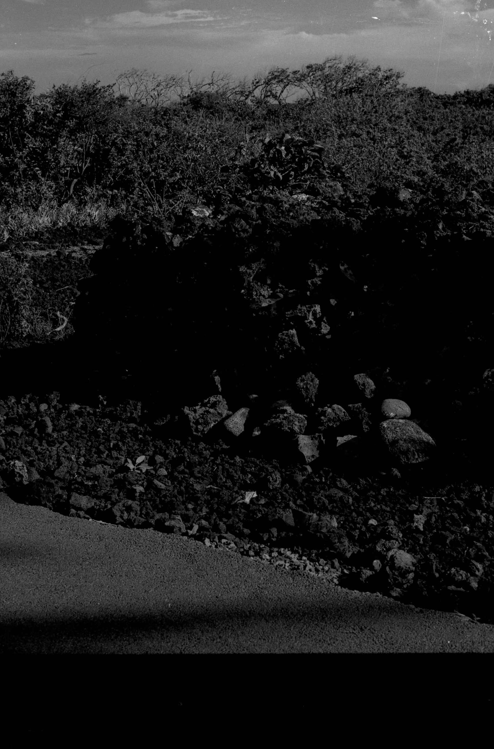 A black and white image of a portion of a lava rock wall near a sidewalk. The image is very dark making the wall very hard to see. The sidewalk is located at the bottom of the image. The lava rock wall is located behind the sidewalk.In the background there is a forested area.