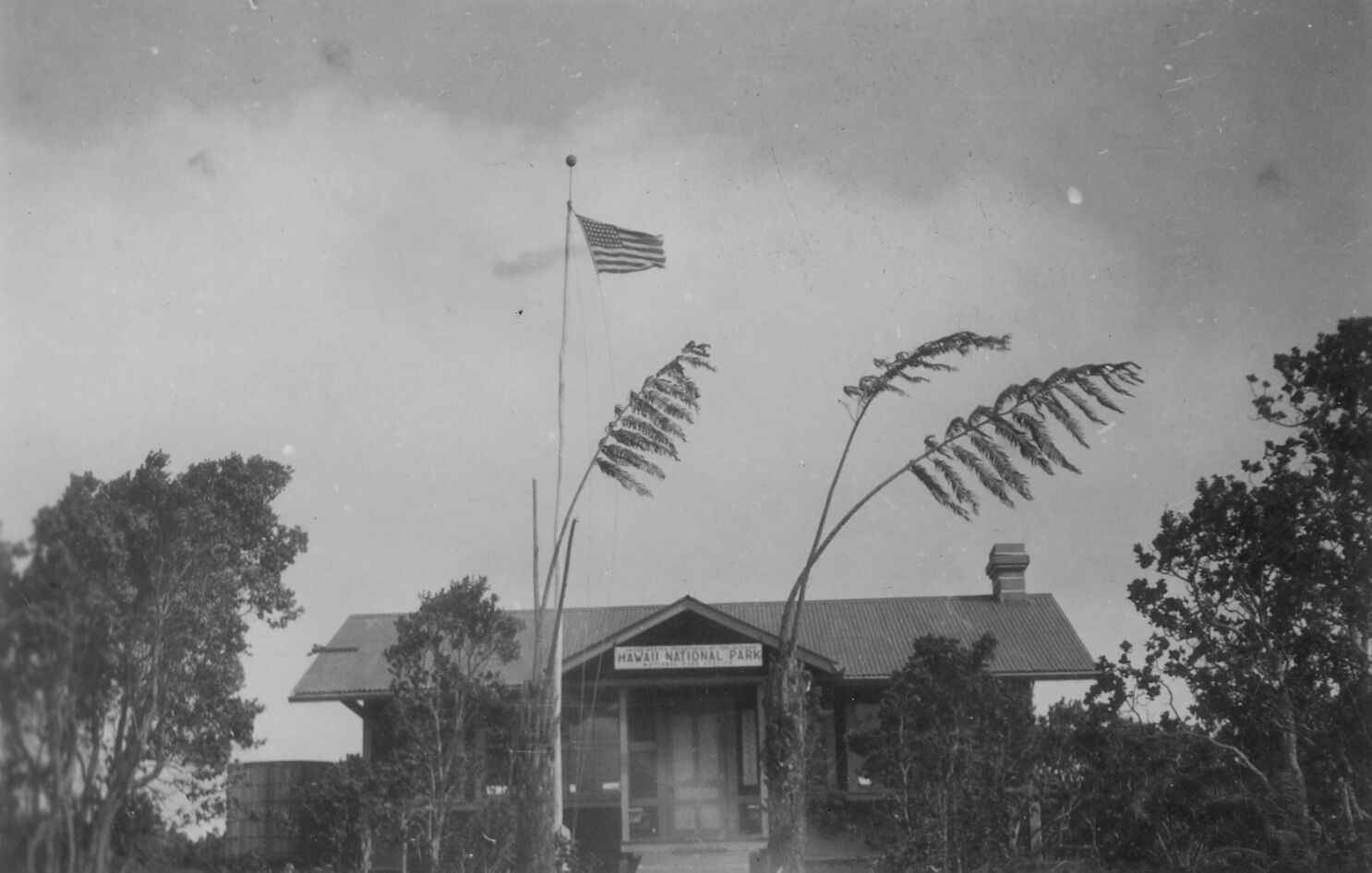 Black and white photograph of the façade of the superintendent’s office at Hawai’i Volcanoes National Park. A sign above the door reads, “United States Department of the Interior, Hawaii National Park, National Park Service.” Tall vegetation is present in front of the building, and it is apparent that the wind is strong. Three tall hapuʻu are present near the entrance, bending towards the right from the strong winds. An American flag is hoisted to the left of the entrance.