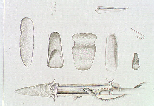 Image is orientated incorrectly. Eight types of Nauset Indian artifacts associated with activities at Indian Rock. Depicted are a bone harpoon with stone point, stone adz, gouge, stone axe, celt, chisel scraper, bone fishhook, and an unidentified artifact.