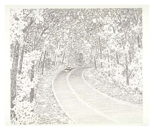 Scene depicts a vehicle traveling through the "green tunnel" at Mile 58.7 on the Skyline Drive.