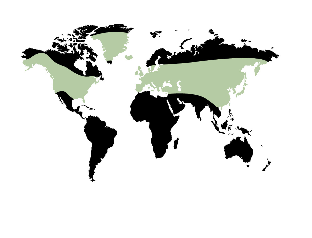 Redwood National and State Parks Prehistoric Worldwide Redwood Distribution