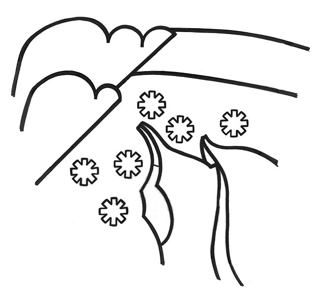 portion of a rain cycle