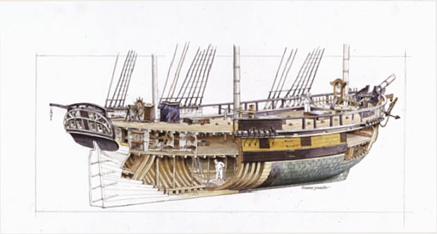 Cutaway of a typical Salem East Indiaman ship (merchantman), c1800.