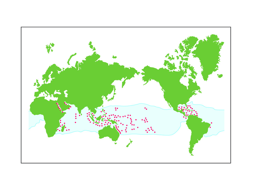 Virgin Islands National Park World Coral Distribution Map