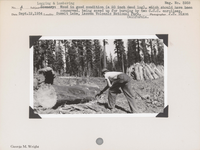 hfca_1607_iva_027_36_021_3958_a. Logging & Lumbering: wood in good condition (a 20 inch dead log), which should have been conserved, being sawed up for burning by two C.C.C. enrollees. Negative #: 3958. Locality: Summit Meadow, Lassen Volcanic National Park, California.