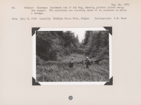 hfca_1607_iva_021_32_011_5572_a. Scenery – Landward end of the bog, showing pitcher plants among the sedges. The enrollees are standing where it is proposed to place a bridge. Negative#: 5572. Location: Woahink State Park, Oregon.