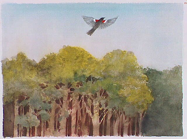 Forest with a bird in flight.