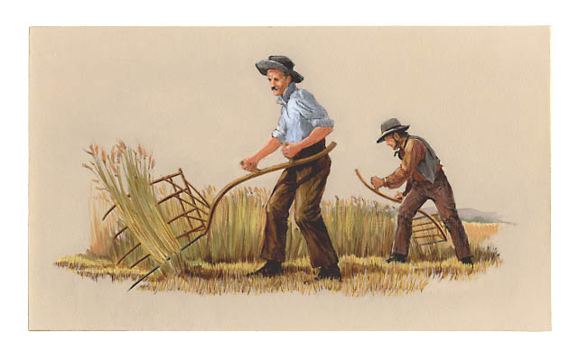 The Furnace community - the farmers. Scene depicts farmers harvesting wheat using cradle scythes.