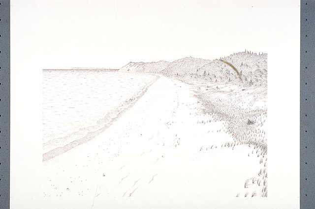 Illustration of beach dunes.