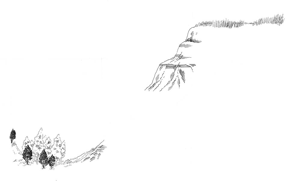 Grasslands: drawing of a grassland habitat. One of a two part series.