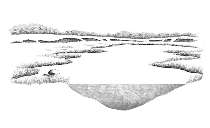 Nauset Marsh at high tide.