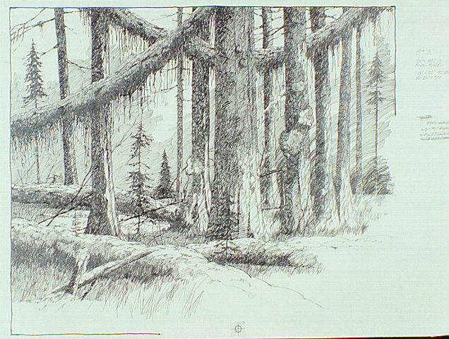 Rain forest scene within Olympic National Park.