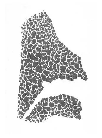 Silhouette of an aerial base map of the Chalmette area showing the cypress swamp and Mississippi River.