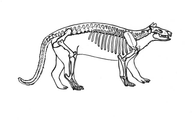 NPGallery HFC Archive Asset Detail