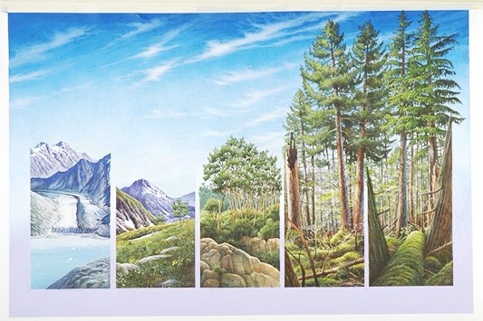 Vegetative succession of Glacier Bay National Park & Preserve: series of terrain stages from glacial barrens (left) to mature forest thicket (right).