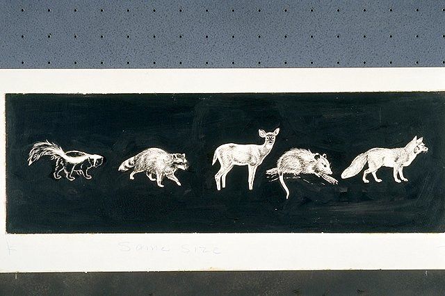 Two part illustration: top) Animal species common to LBJ State Park; Bottom) Bird species common to LBJ State Park.