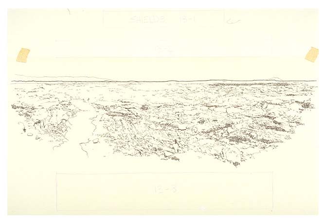 View east of the caves trail detailing the volcanic shields.