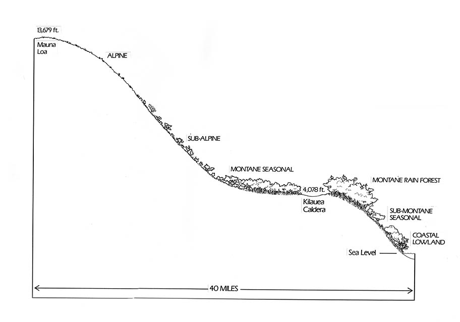 Eight major life zones from ocean to top of Mauna Loa ("coastal to alpine").