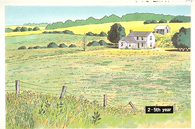 Changes in the Forest series #10, #11, and #12: Abandoned farm and field; farmhouse continues to decay. Field is in its second-fifth year of growth with grass, shrub and pine seedlings beginning to growth.