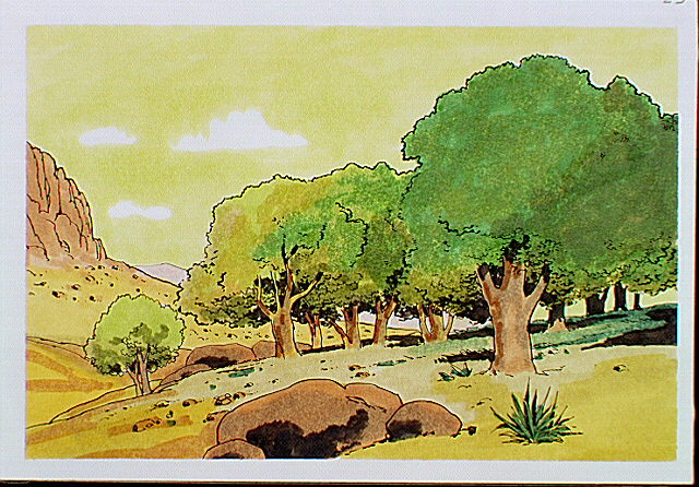 Landscape scene around Fort Davis. The site was adjacent to the Mescalero Apache homeland and within striking distance of the great Comanche war trails.