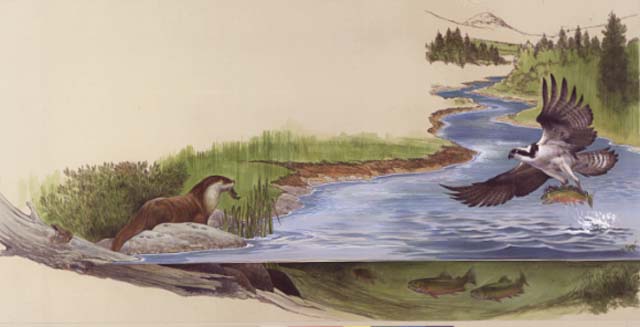 Conjectural scene along the headwaters of the Colorado River with a partial cutaway view of the river showing Cutthroat trout