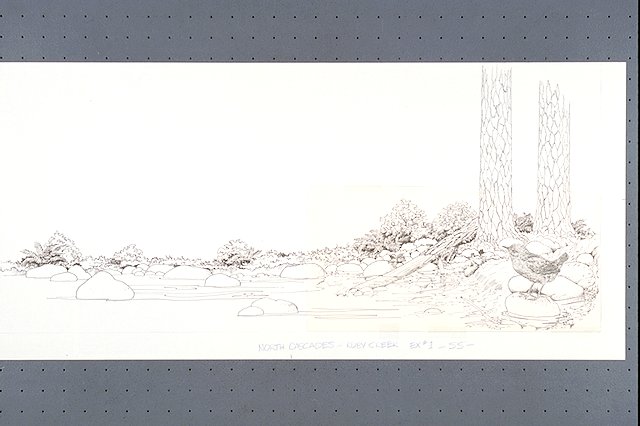 Sketch of forest floor and Ruby Creek with American Dipper (bird).