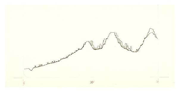 Cross-section of terrain and vegetation features of Big Bend National Park.