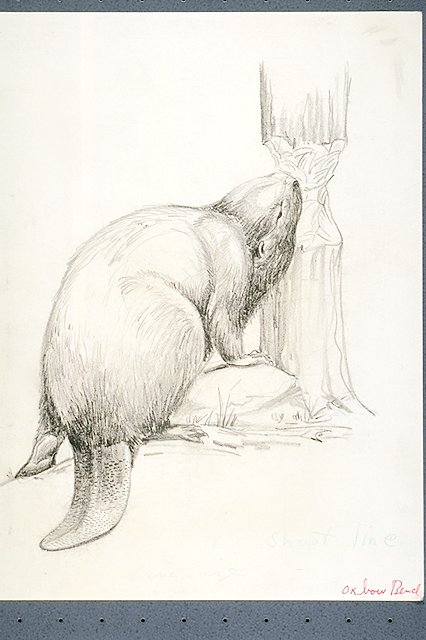 A beaver gnawing on a tree trunk.