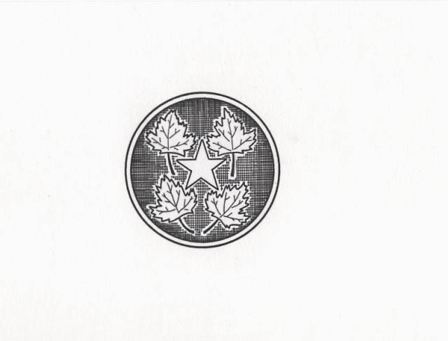 National Park Service shoulder patch: Assistant Director