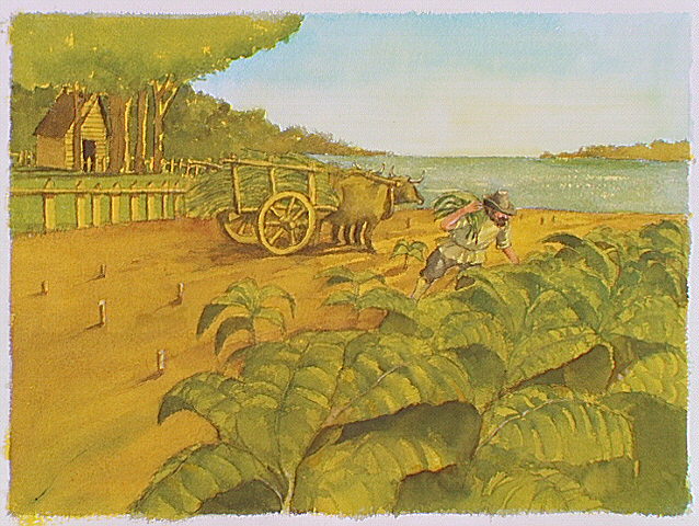 Early tobacco farming scene near Jamestown, Virginia.