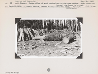 hfca_1607_iva_027_36_021_3965_a. Logging & Lumbering: Large piles of wood stacked out in the open meadow. When these are burned, the grass is killed. Negative #: 3965. Locality: Summit Lake, Lassen Volcanic National Park, California.
