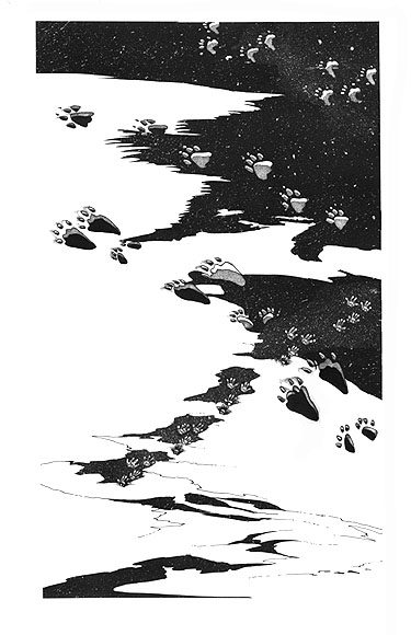 Weasel tracks, coyote tracks, Snowshoe hare tracks, and mouse tracks as viewed in the snow.