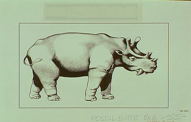 an Uintatherium
