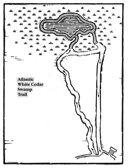Map locating the Atlantic White Cedar Swamp Trail.