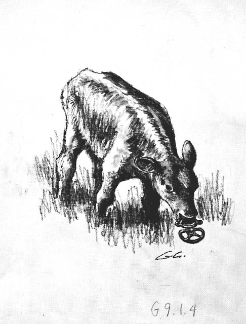 Illustration depicts the use of a calf weaner.